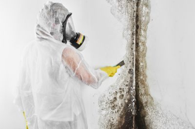 Attic Mold Removal in Jupiter, FL