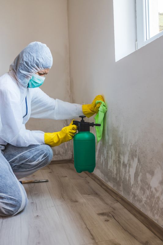 Crawl Space Mold Removal in Fort Worth, TX