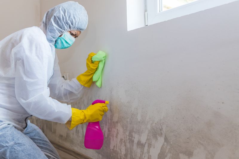 Mold Remediation Service in Boca Raton, FL