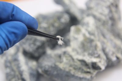 Asbestos Assessment in Morris County, NJ