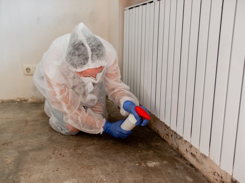 Attic Mold Remediation in Jupiter, FL