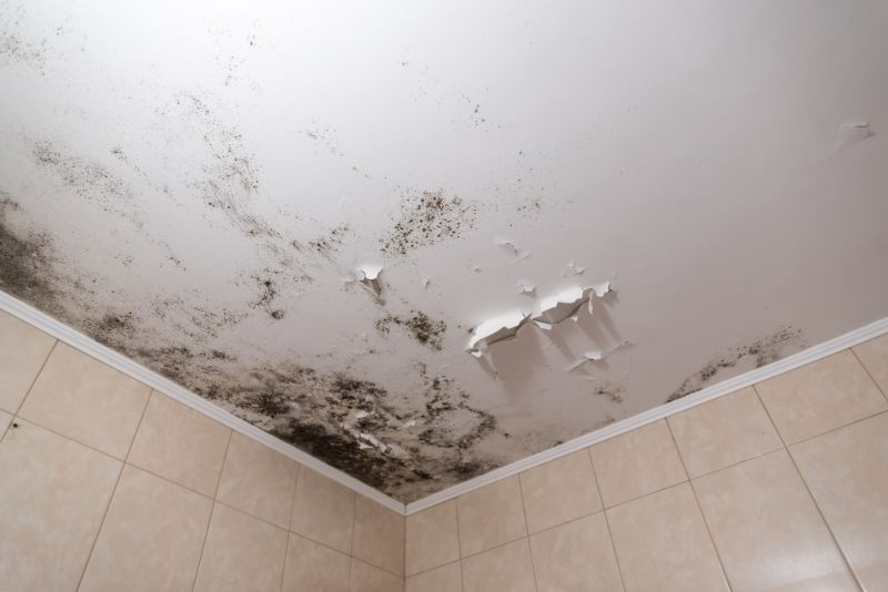 Attic Mold Removal in Essex County, NJ