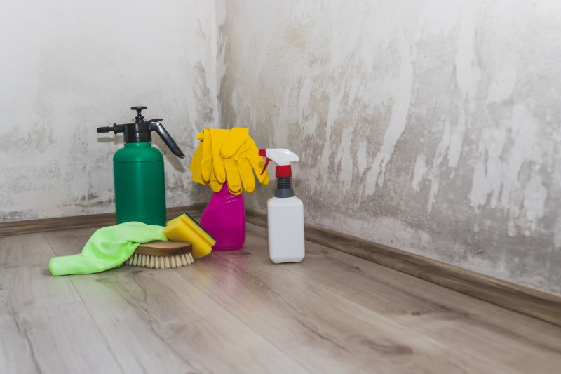 Basement Mold Removal in Fort Lauderdale, FL