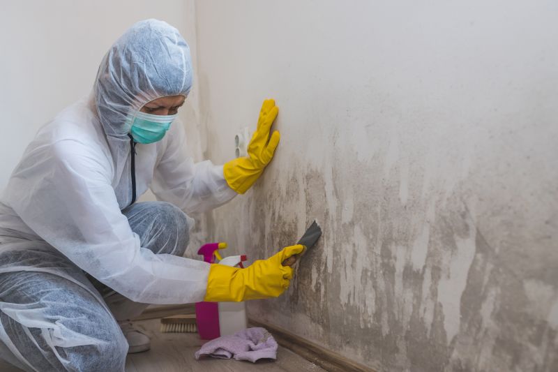 Black Mold Remediation in Dallas, TX