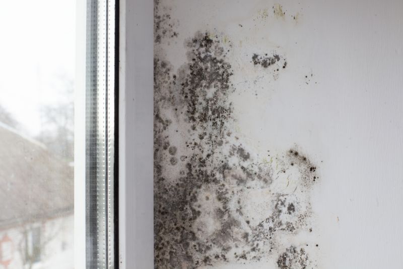 Black Mold Remediation in Fort Worth, TX