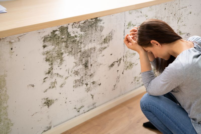 Black Mold Removal in Denton, TX