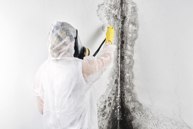 Garage Mold Remediation in Boca Raton, FL