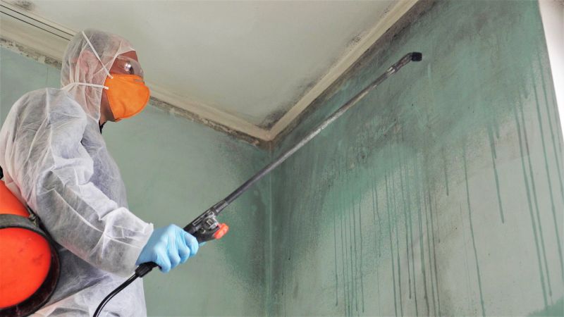 Garage Mold Remediation in West Palm Beach, FL