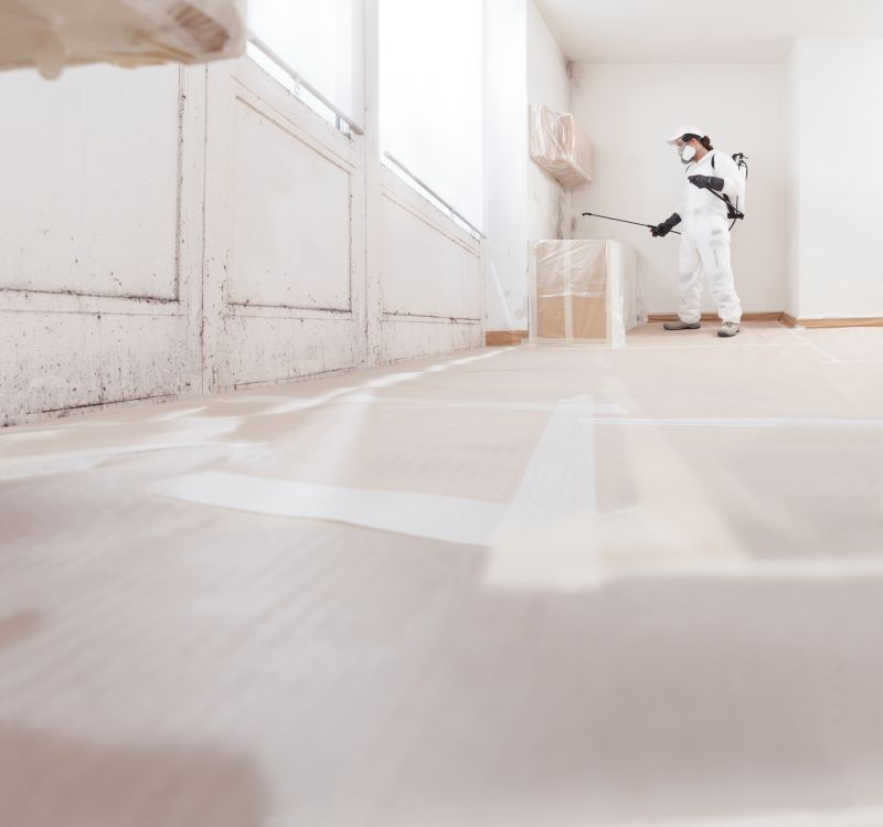 Mold Cleanup Service in Dallas, TX