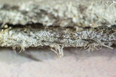 Vermiculite Removal Service in Freehold, NJ